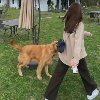 怪