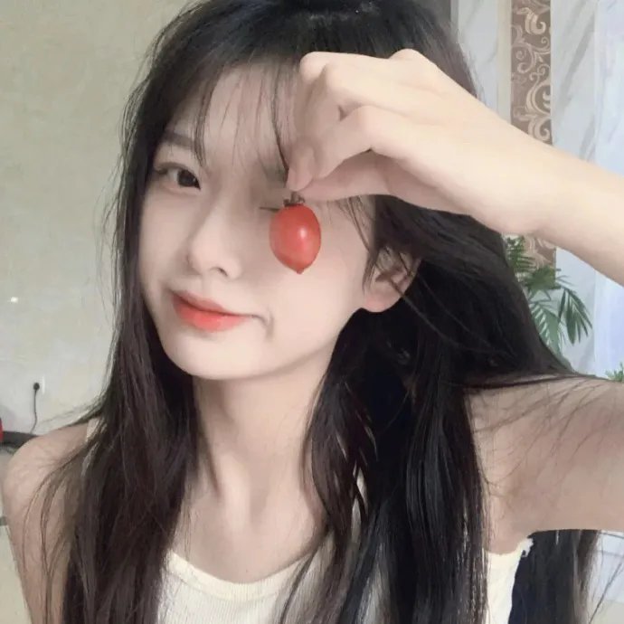 黑之契约者2:流星的双子