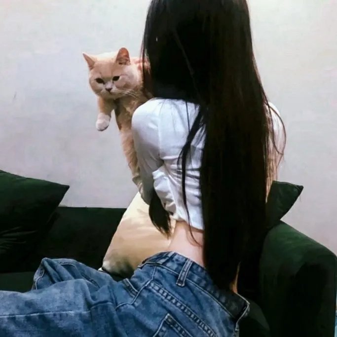 好莱坞队列